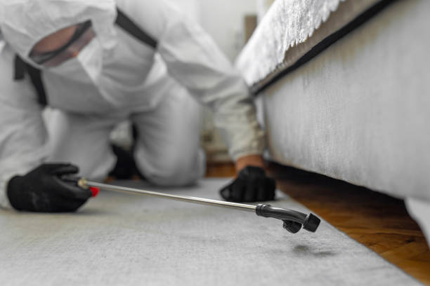 Professional Emergency Pest Control technician working in Grand Mound, WA