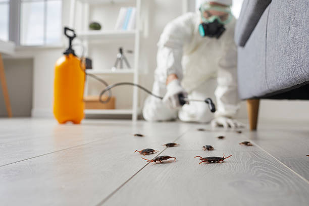 Trusted Fumigation Services service in Grand Mound, WA - Nex Pest Control