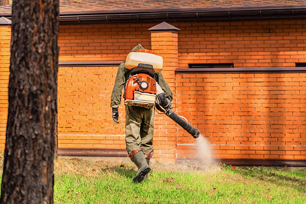 Trusted Emergency Pest Control service in Grand Mound, WA - Nex Pest Control